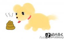 Ĳ˳ʺ˵ ΪʲôΪ˵Ļ