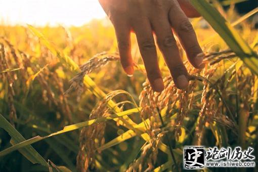 广州为什么叫羊城?这其中有什么传说? 广州为什么叫羊城?这其中有什么传说?