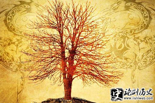秦岭神树到底怎么回事?秦岭神树结构图揭秘 秦岭神树到底怎么回事?秦岭神树结构图揭秘