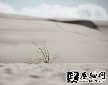 关于严于律己的名言31句
