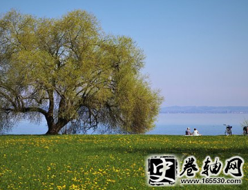 关于安全的名言警句句子摘抄大全