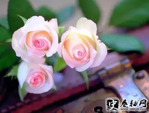 超甜的情侣秀恩爱说说大全,情侣之间秀恩爱的说说