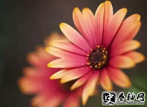 文艺小清新唯美的句子,简单的文艺小清新句子