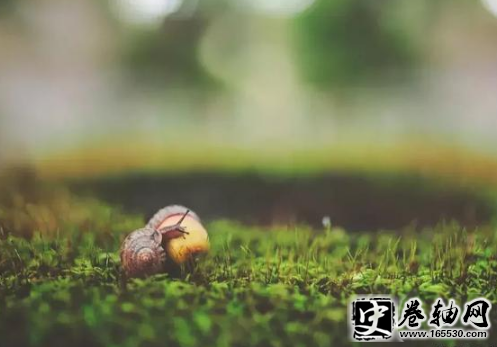 ˺ѷ̲ס˸о