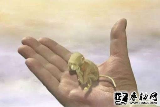 孙悟空本相是什么?孙悟空的本相是赤尻马猴吗? 孙悟空本相是什么?孙悟空的本相是赤尻马猴吗?