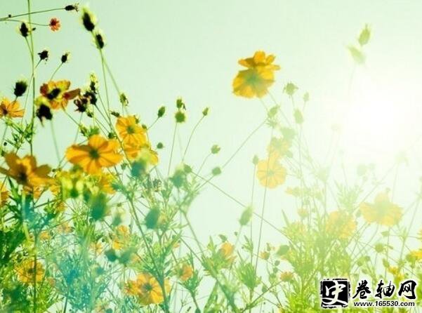 早上正能量的句子简短
