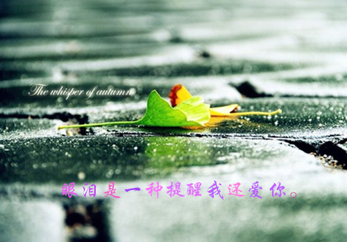 ĵĸ˾ӣһģ