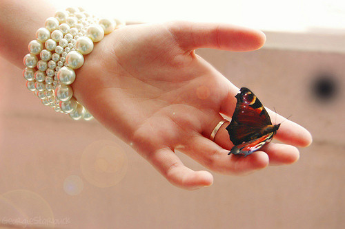 ĵĸ˾ӣһģ