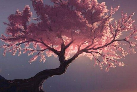 1577261225658076.png image.png