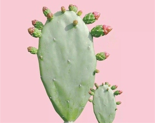 Ƶ˵˵Ȧ ̵˵˵
