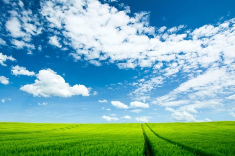 ĸ