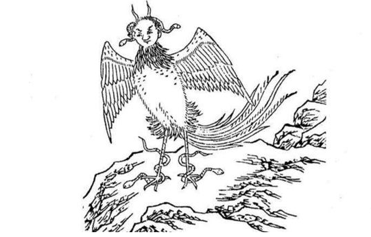 1578464102524393.png image.png