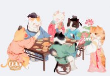 ˳˵˳