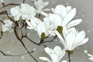 1582207555439444.png image.png