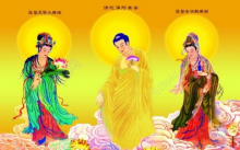 ʥľ庬ʲô