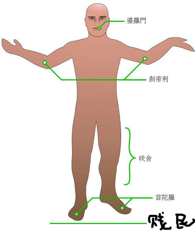 ӡȵġβ?Ѫͳ۲