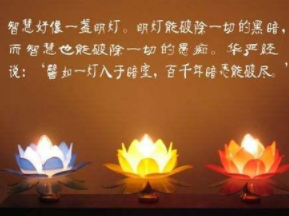 1582795375160615.png image.png