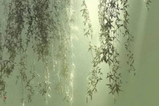 1582033651276763.png image.png