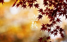֪ʶ