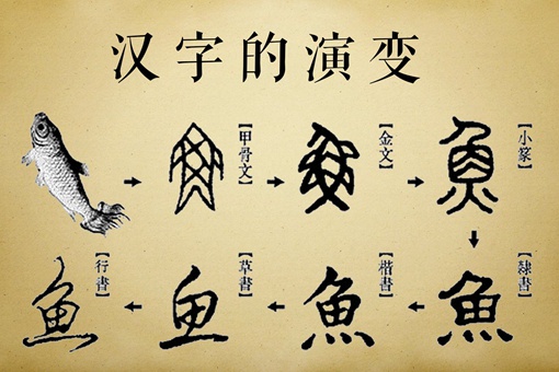 汉字的演变过程的顺序 汉字的演变过程的顺序