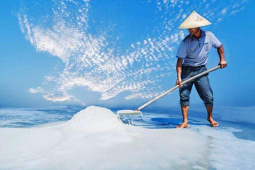 盐在历史中的地位如何?解密历史上盐的重要性 盐在历史中的地位如何?解密历史上盐的重要性