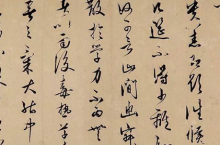 鷨ʲôص㣿