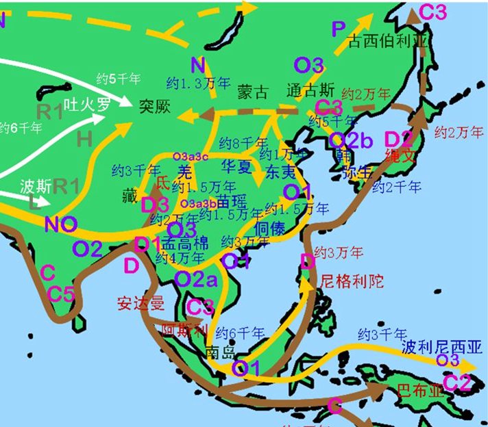 匈奴人是白种人吗?匈奴人是什么人种? 匈奴人是白种人吗?匈奴人是什么人种?