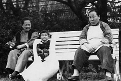 宋庆玲为何要和保姆同葬 为何不和孙中山葬在一起 宋庆玲为何要和保姆同葬 为何不和孙中山葬在一起