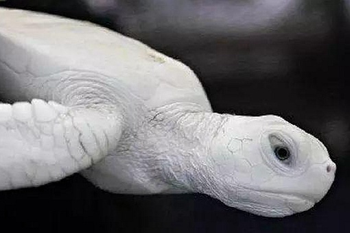 йũδ֮Щ йũδ֮մϼ