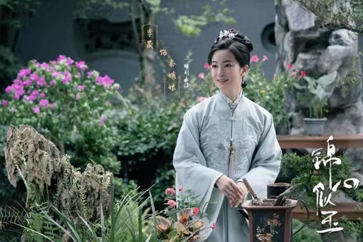 锦心似玉谆哥生病的真相是什么 与秦姨娘有着什么关系 锦心似玉谆哥生病的真相是什么 与秦姨娘有着什么关系