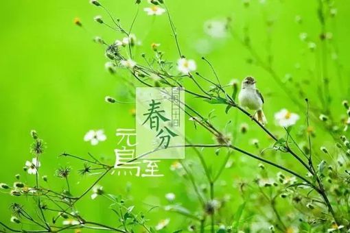 春分是什么意思 春分节气的含义是什么 春分是什么意思 春分节气的含义是什么