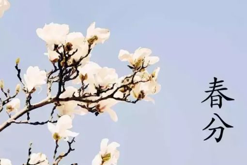 春分是什么意思 春分节气的含义是什么 春分是什么意思 春分节气的含义是什么