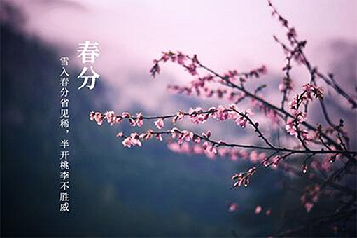 ڴֽ֪ʶϸ