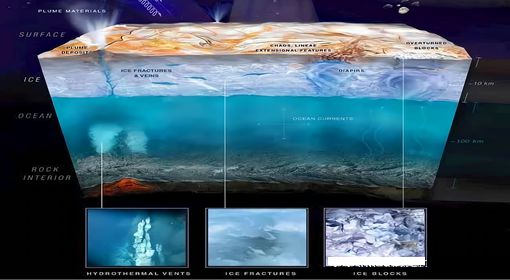 南极冰下湖泊什么样子的 南极冰下湖史前生物有哪些 南极冰下湖泊什么样子的 南极冰下湖史前生物有哪些
