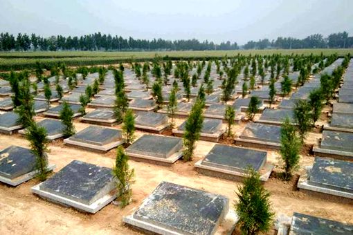 为什么死后要火化 我国火化制度什么时候开始的 为什么死后要火化 我国火化制度什么时候开始的