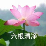 徻ָ