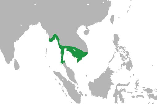 ޵۹ʲôϵ ظ޵۹ĻԻ