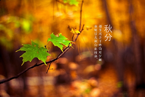 ʫõ10()