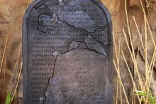 ױַеĦѺʯϿдʲô?