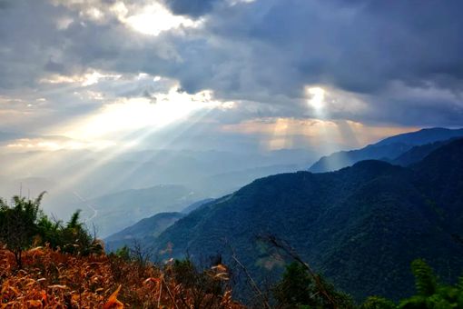 哀牢山300箱金条是什么意思 哀牢山300箱金条是什么意思