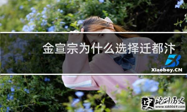 ΪʲôѡǨ꾩